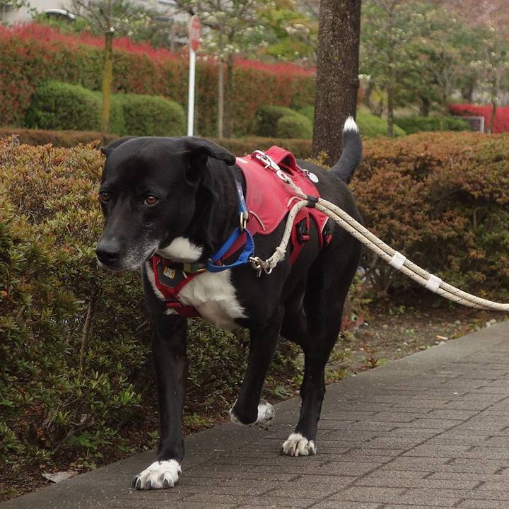 Ab00077b 663e 4a0d afce a8eeb482e030 1680655687570