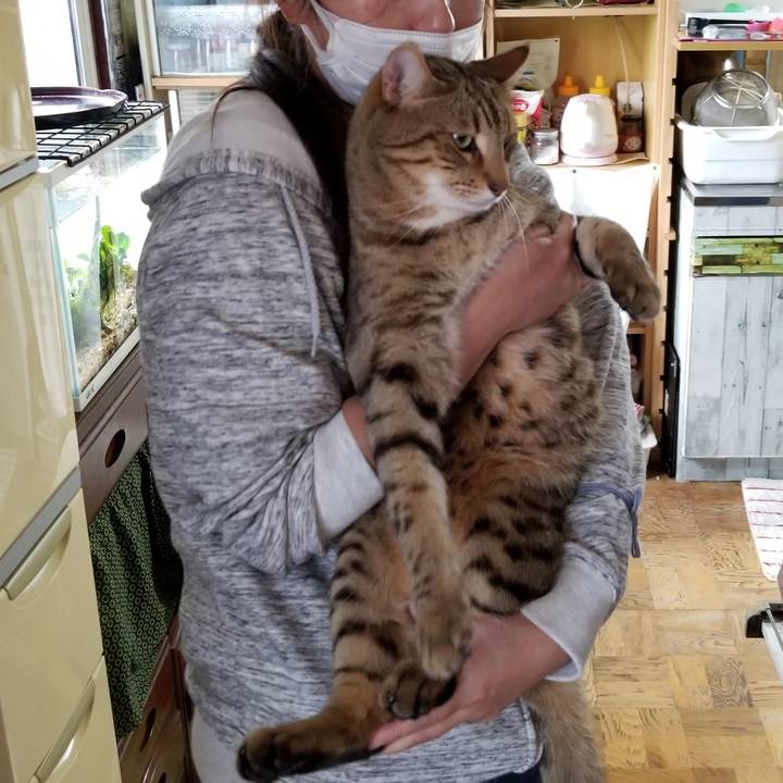 Ab0012a7 f358 4a65 91ba a28716762280 1655138106288