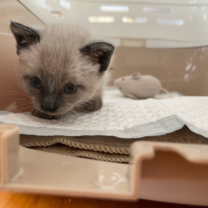 Ab00952f bcd2 48e9 9d08 b6996559f98e 1685061741792