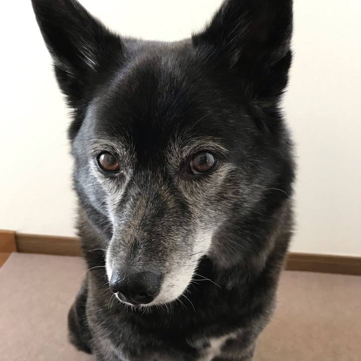 Ab00a830 8de6 41f6 9caa 0456495946cd 1555423301959