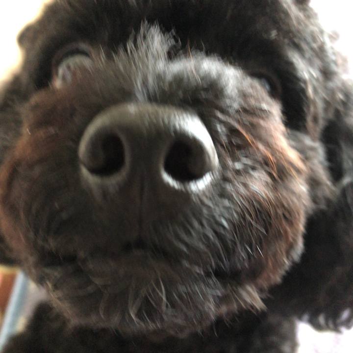 Ab00ab16 e890 4881 9c01 d7eeedde380a 1537585066290