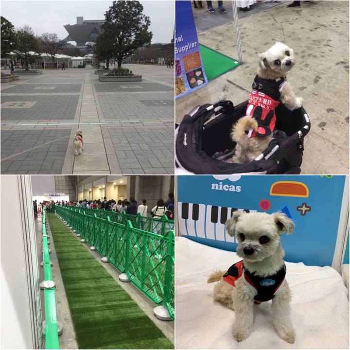 Ab00b248 2bc4 4e90 859b bde31d83e978 1554029230830