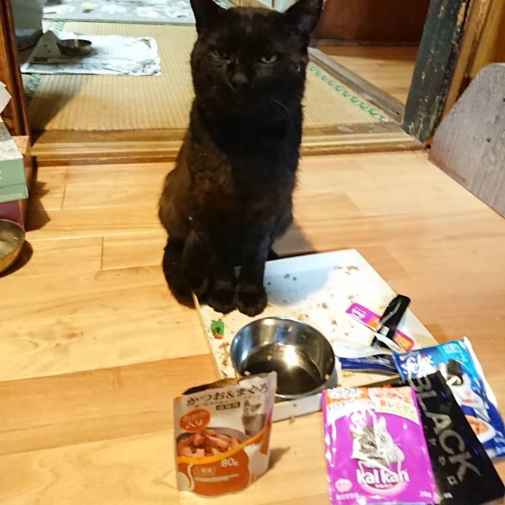 Ab00ff61 7a15 4cab 8854 a1223a8ca4ee 1625052548838