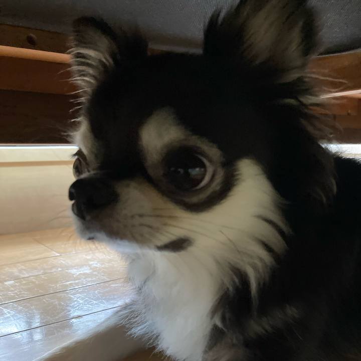 Ab0100e9 84c7 4a3c a01e 7df9f91dd1f6 1658067990787