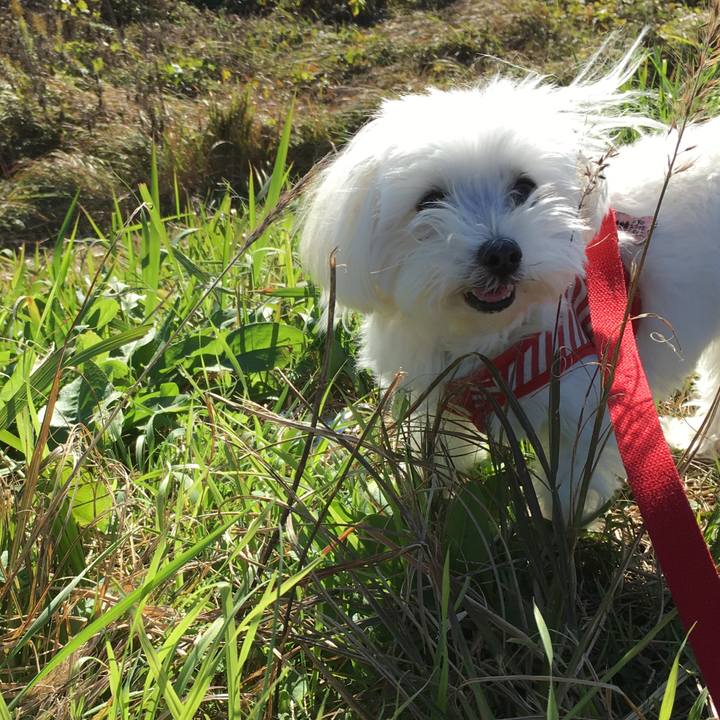 Ab011fc0 7259 488a bbbb acb55cad1f14 1542337491269