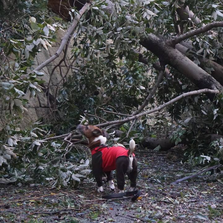 Ab01dff2 37cc 4f55 9740 9268815520f4 1538347594667