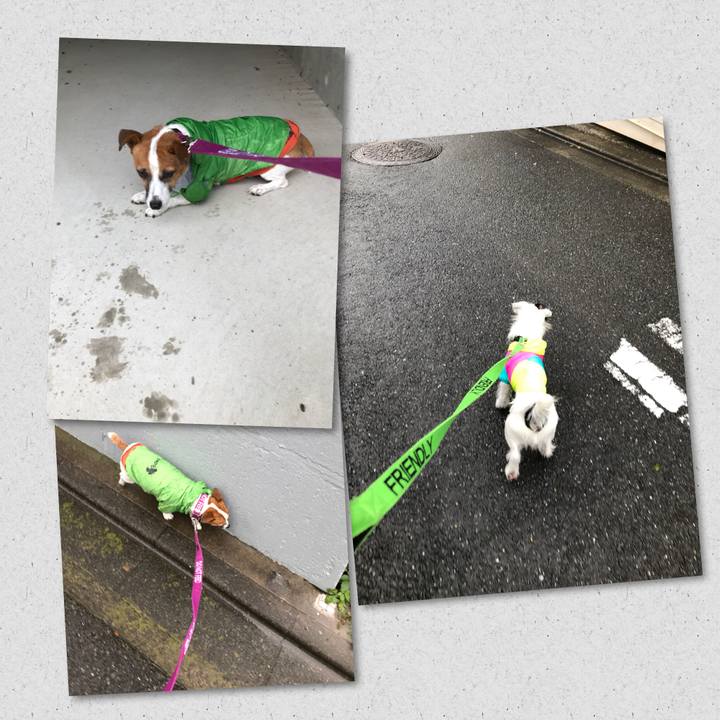 Ab0216aa da3b 44b2 be08 f1a6963de04a 1508115429336