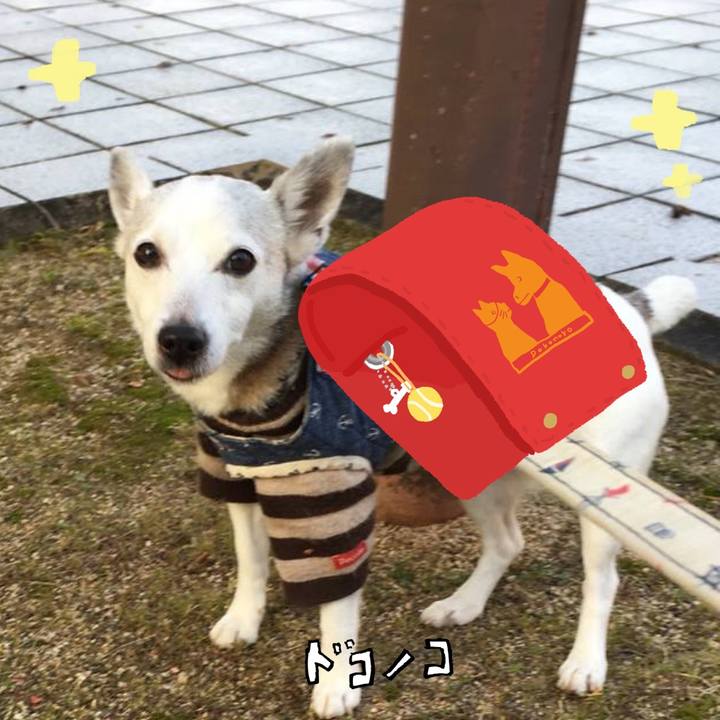 Ab021efd 7f6d 4e8b b32f bac6ab6647d9 1744263797097