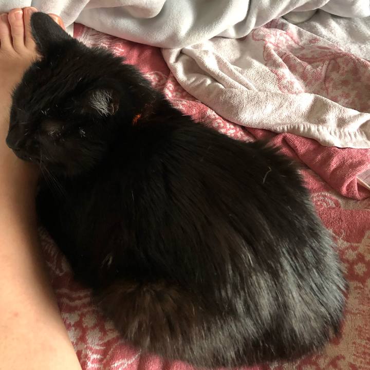 Ab0239b7 ed42 43be b1ef ad3ce7c40d31 1570745276581