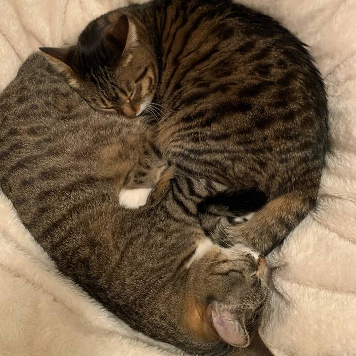 Ab025a32 67e7 457b 81d8 5c3096eabd26 1646664126126