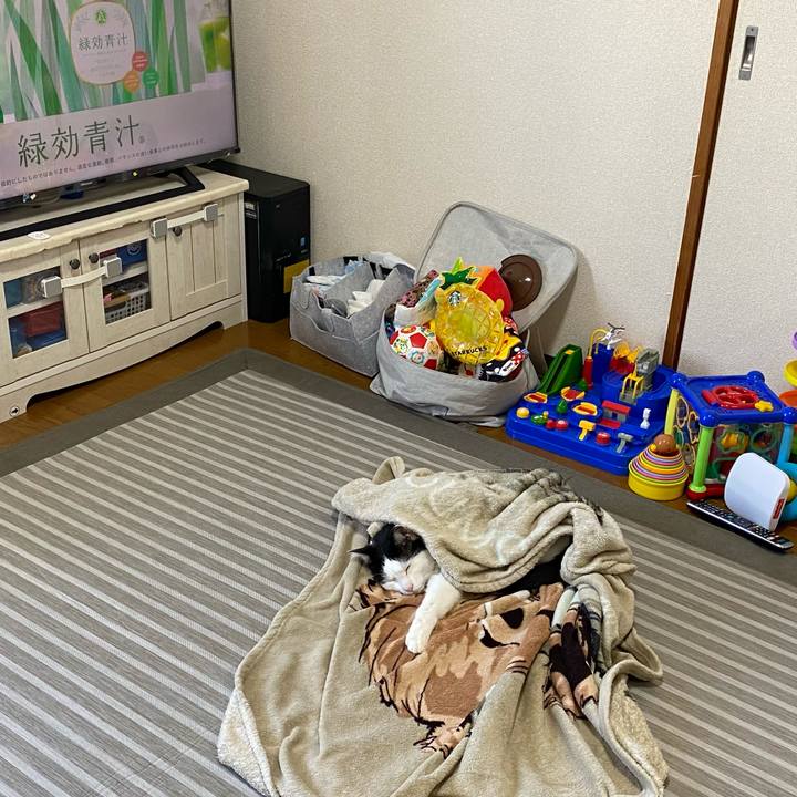 Ab02674c 11cf 4411 bf31 369fd5dcaa5b 1626674353522