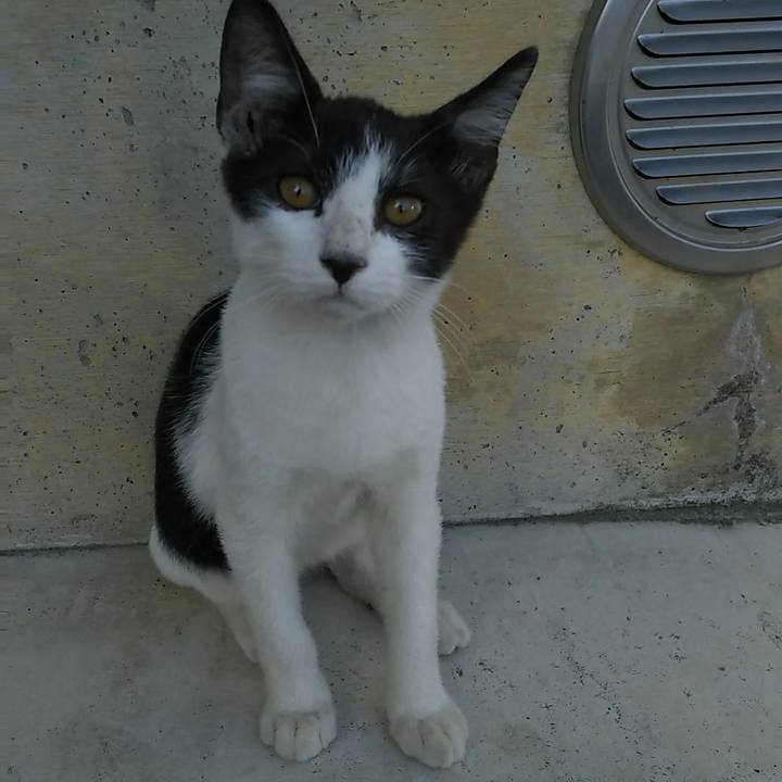 Ab026e59 0ae0 4823 96d8 413ba1a70aa2 1534323783445