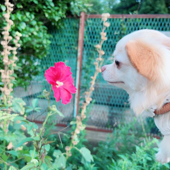 Ab02853f 4081 448a bbbc ab59d63e19e7 1689936317501