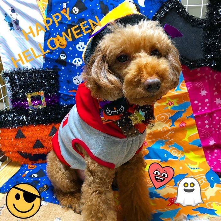 Ab0299ea eb32 411d 9553 ec4ca450a40a 1604124359849