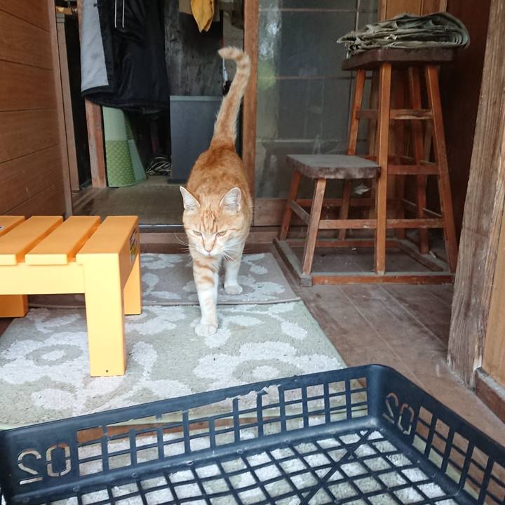 Ab02a7a8 e0c3 4036 8150 d7d24f4775c4 1588565471168