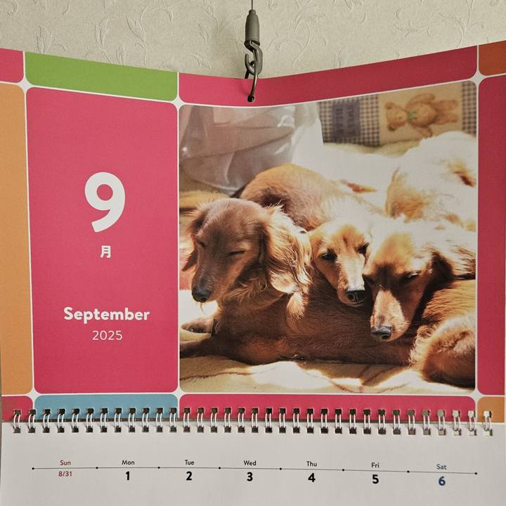 Ab02ca12 a8a9 45f8 a74b fdb570cde91e 1756943973118