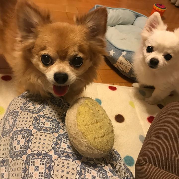 Ab02d6b5 afb4 4126 ba51 95b7647c599c 1541778592126