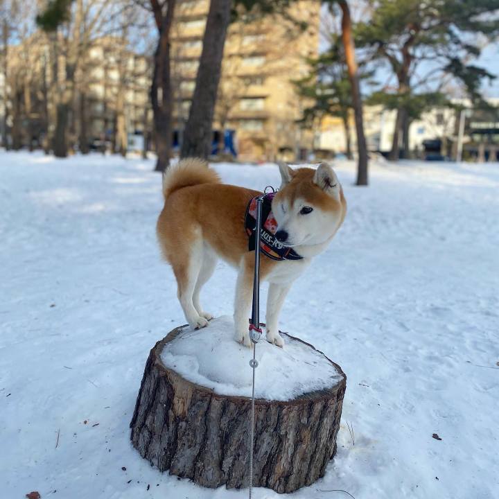 Ab034ea8 b73f 4fce 9dcd 47b3b288b58c 1672905408786