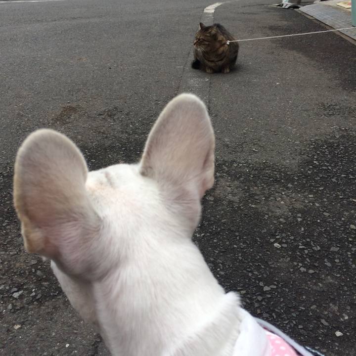 Ab037b85 e9ae 4cba b418 2bc13b34d458 1517738165183