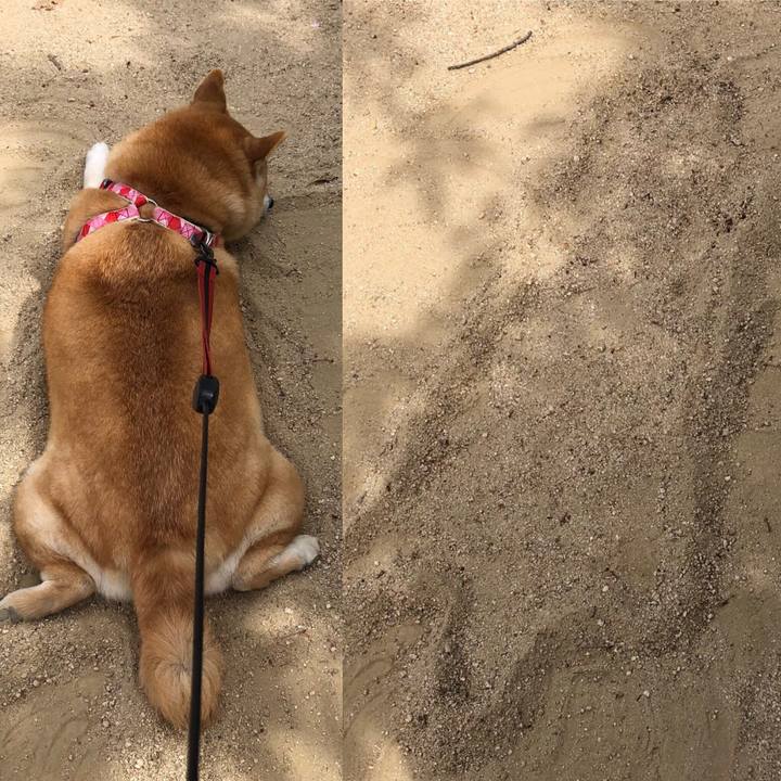 Ab037cd3 78c2 4b44 af94 d3b787393ee6 1556599949533