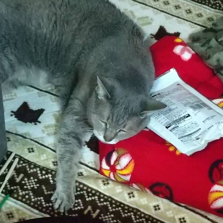 Ab0396e5 5e47 43a5 9f4f 9ed4d6c84c0c 1680125641457