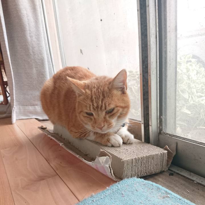 Ab0398c4 b6e9 44c7 a8d6 e8e2b420893e 1603513309643