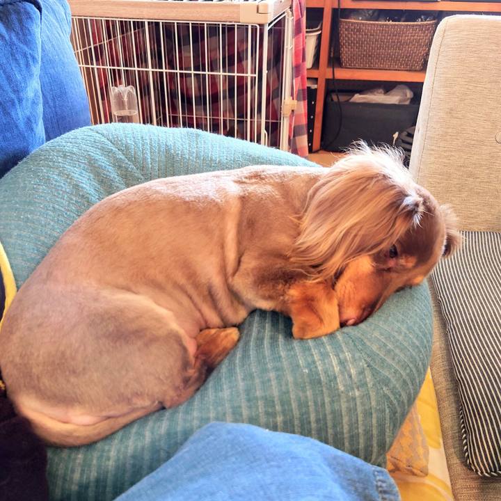 Ab039a41 266a 41e3 981b e98b3b9801e8 1625971616698