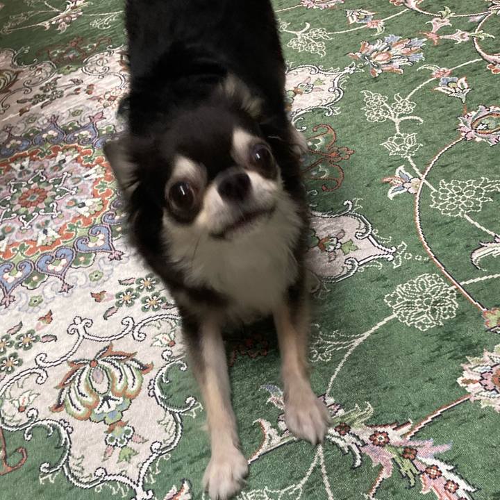 Ab03ac9a d8ee 4a8d 86bc 950fb3a578a6 1658670186328