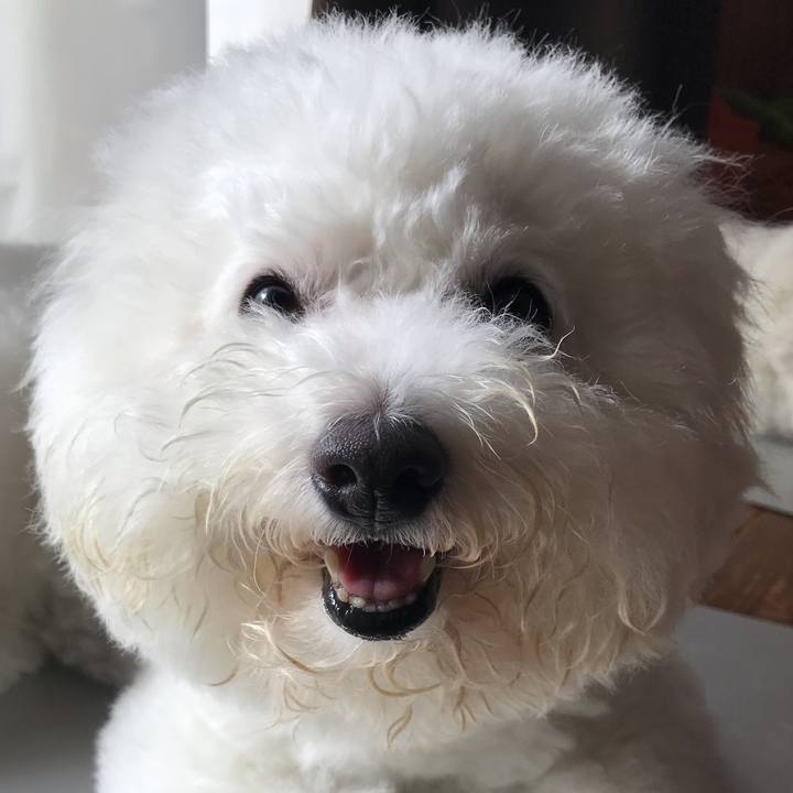 Ab03b1d7 dd41 4621 859b 3bd7ccdf7edb 1569798108477