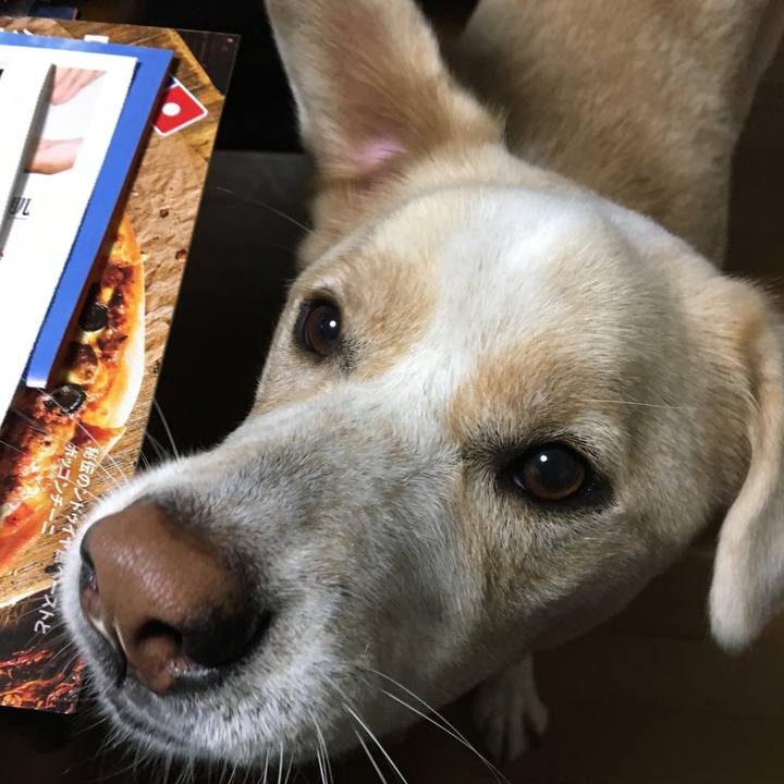 Ab03b224 e17f 4407 82e8 8e7e74637442 1540291677241