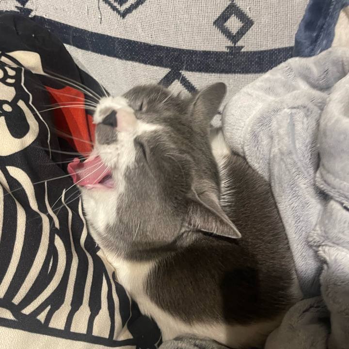 Ab03bb72 c7c9 4135 bd93 54bd057603fe 1677924014305