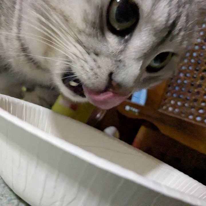 Ab03e254 3a0e 4bc9 8d87 f2e840fd2f5a 1774520282226