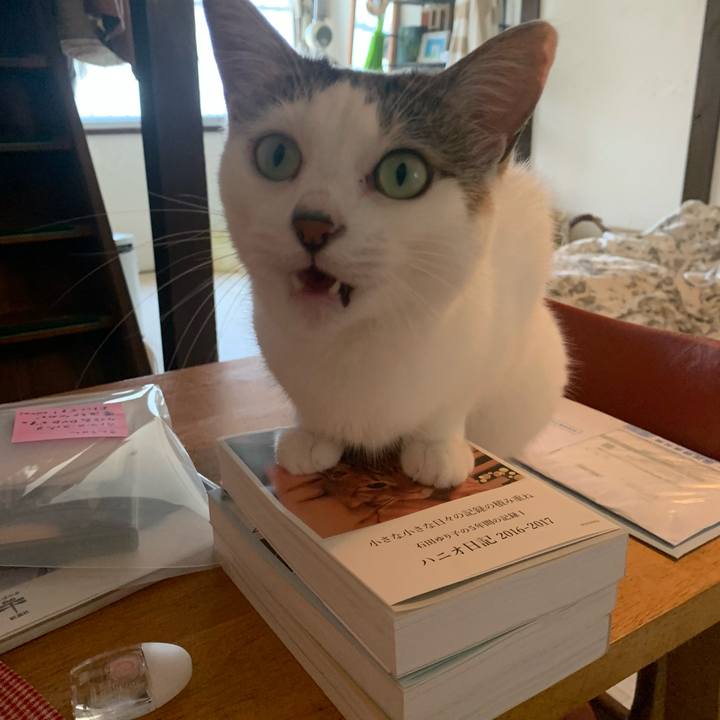 Ab03eed9 da5d 4b4e bb0b 2ffbb5c3e5d1 1624557478089