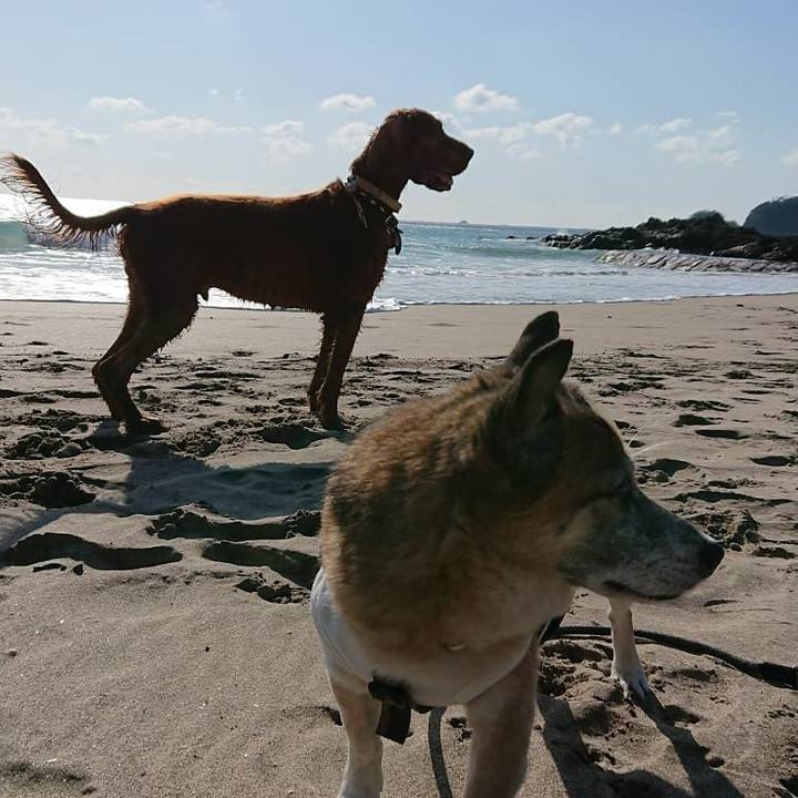 Ab042e90 6219 40a6 ae07 f147e013e1ba 1579168481562