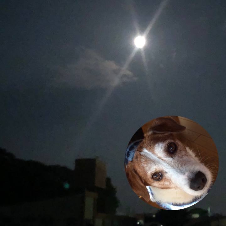 Ab0441df 98c5 4414 8ec1 5ebcb6c8a260 1566135673742