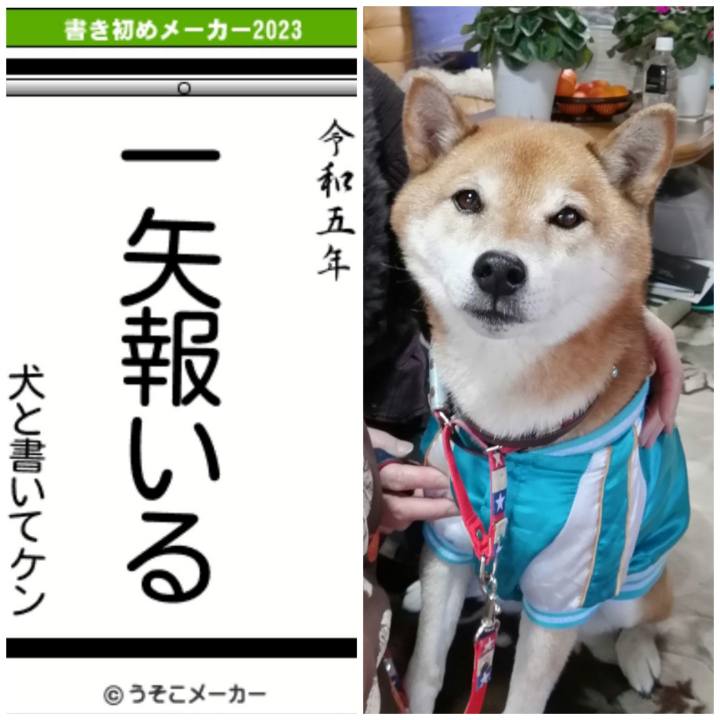 Ab044c2e ccaa 413a a1f6 219b1976a20b 1672757534739