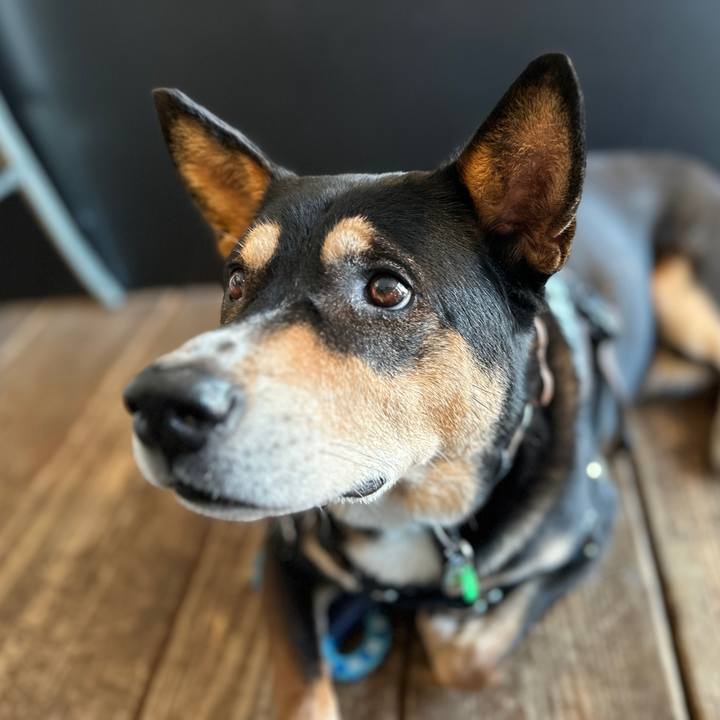 Ab0483c1 2b1b 47cc bce6 b516428d136c 1732979865466