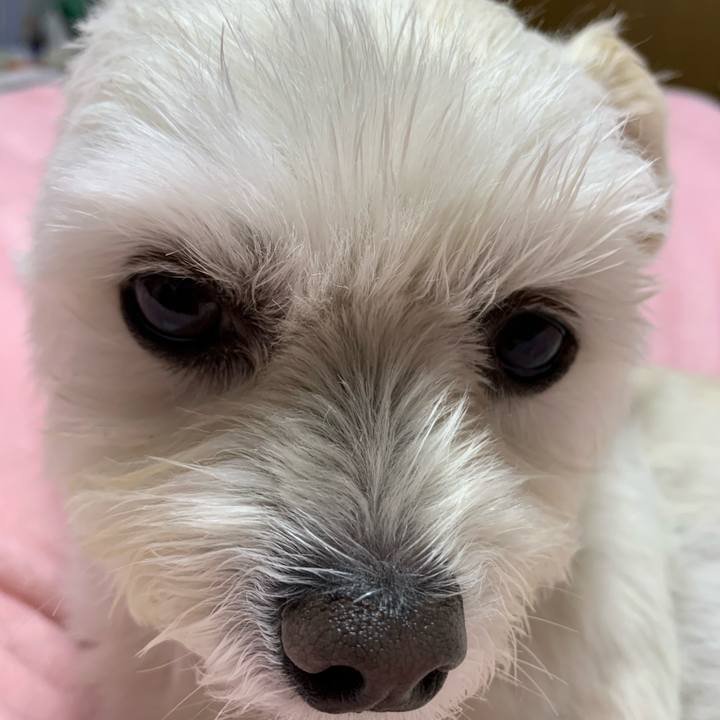 Ab049c48 ed8c 45ff b8d4 516ba3540832 1607172576622