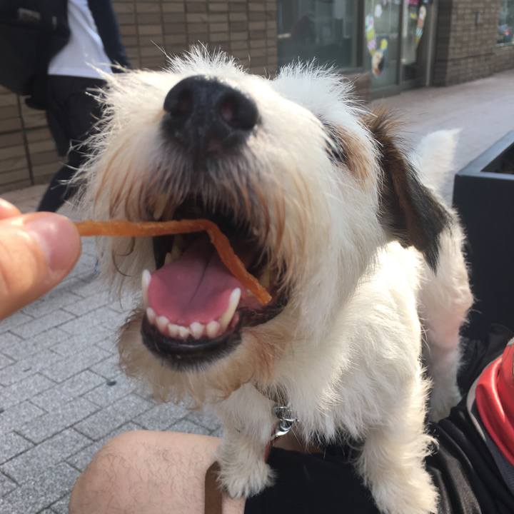 Ab04a8a7 ff78 42c3 83c4 0bbe7499d3a0 1531613028769