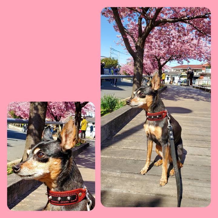 Ab04c28f 85bd 4aab 86aa a83364292efb 1740809597260