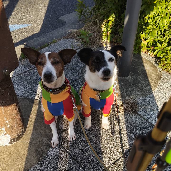 Ab04cb0c cbe4 4933 959b ad837021cfc5 1744148897478