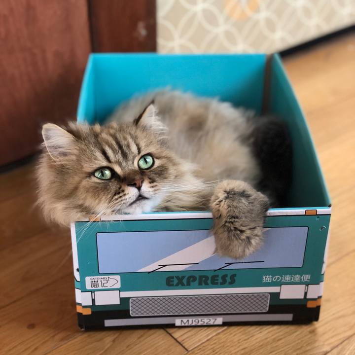 Ab04f016 4fb9 4a0c a600 386927b8eef7 1596871639098