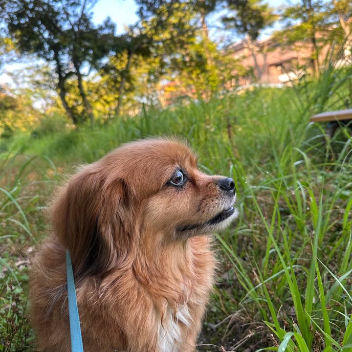 Ab050d94 d5ff 43cc 9dc7 13efa2246c42 1689628354825