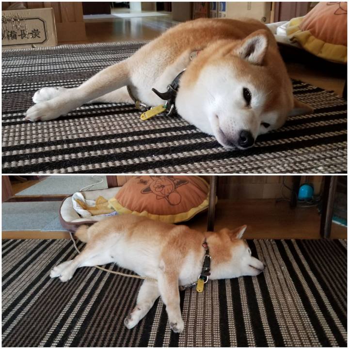 Ab050e19 b54b 439f b64d 3d9eaf3d30a7 1591755898349