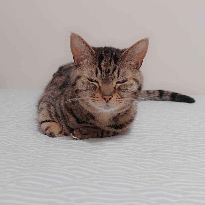 Ab053b93 49bf 4b35 baac a6e07514576a 1625174839225