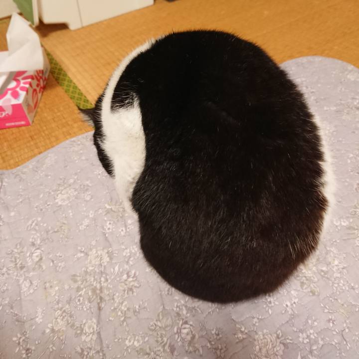 Ab054255 2b1a 462a b2ef 83800f5e0f35 1556587275644