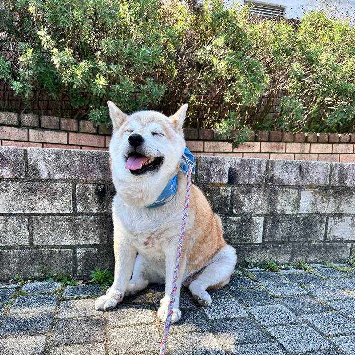 Ab056684 7da6 4a7c 9f58 58995551a4b4 1750205405133