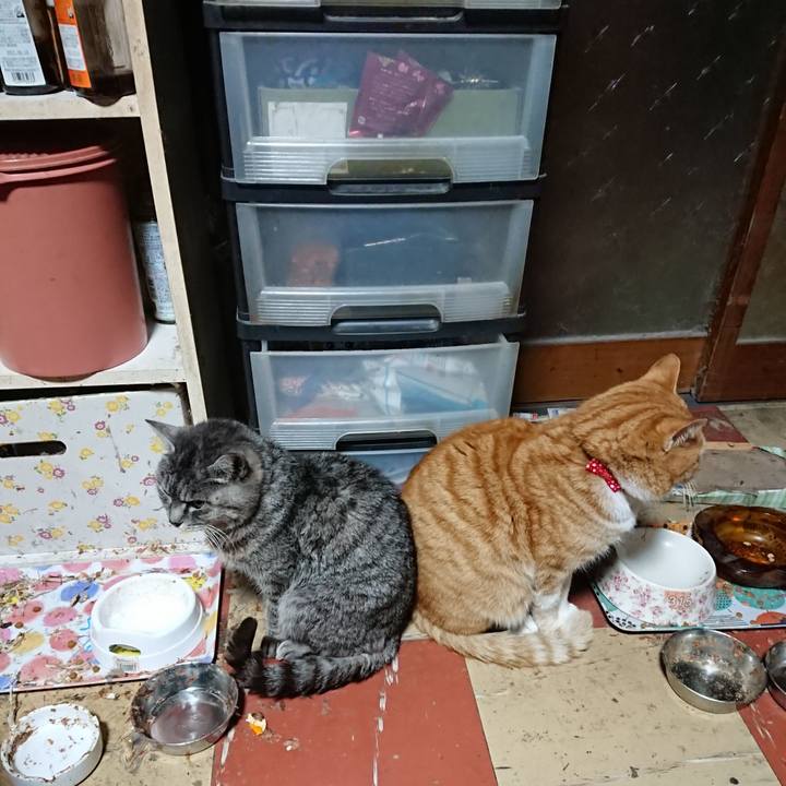 Ab0581a1 f9fd 4533 90df ce3988b702ee 1577824235373