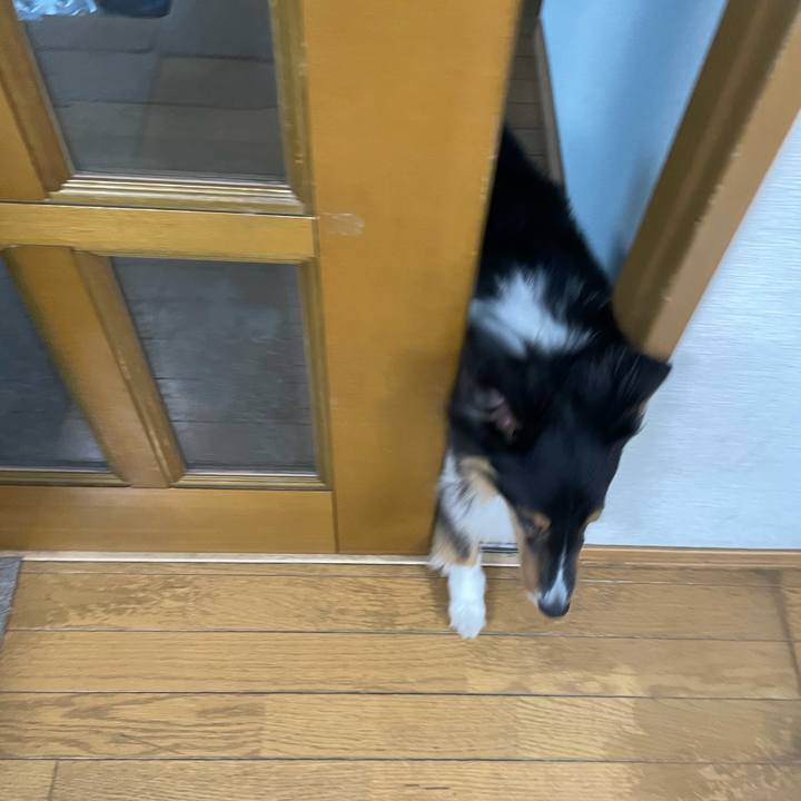 Ab05c4b6 ec53 4f7e bacd 88683e062485 1619129615043