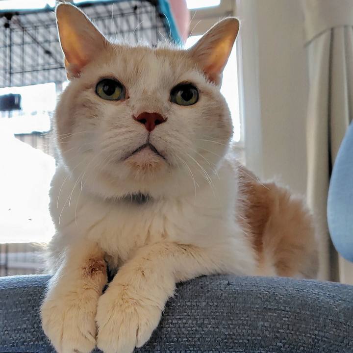 Ab05fabc e3d9 4a4f 8587 084657cba52e 1764887017614